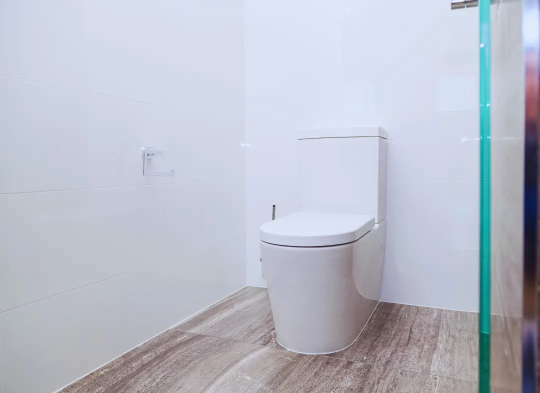 Remplacement de wc Générac